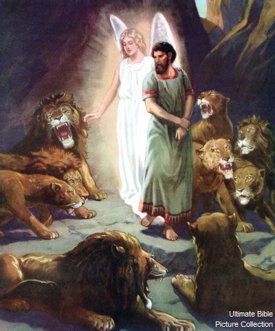 Daniel 6 Bible Pictures: Daniel in the lion's den