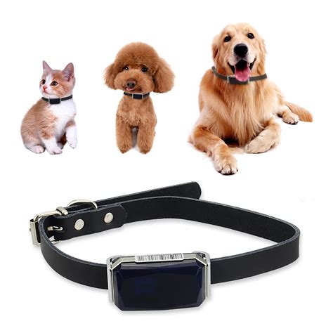 Cute Dog GPS Tracker G12 for Pets Real time Tracking Waterproof IP67 ...