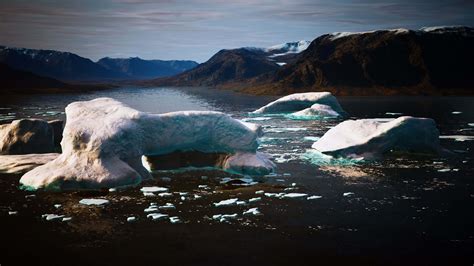 many melting icebergs in Antarctica 5687192 Stock Video at Vecteezy