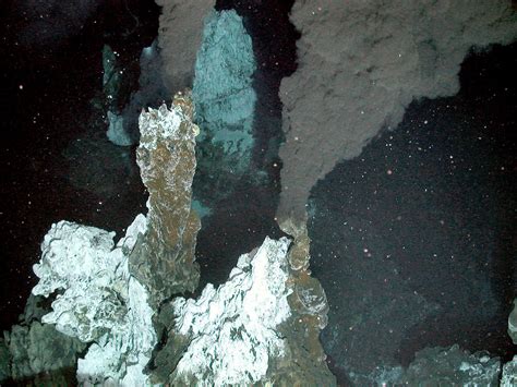 New Ecosystem Is Found Around Southern Ocean Hydrothermal Vent - The New York Times