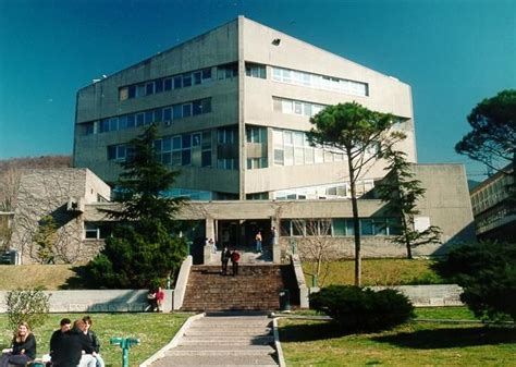 Image Processing Laboratory | University of Trieste | Trieste, House styles, Image processing