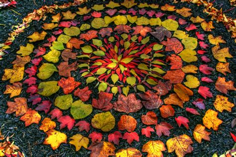 Andy Goldsworthy Fall Leaves – Moss and Fog