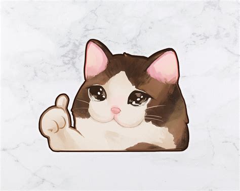 Thumbs Up Sad Cat Meme OK Cat 3 Sticker Meme Lolcat | ubicaciondepersonas.cdmx.gob.mx