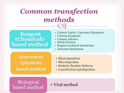 Transfection method