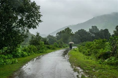 Care and Management of Dairy animals in Monsoon Season