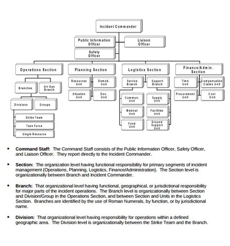 FREE 8+ Sample ICS Organizational Chart Templates in PDF