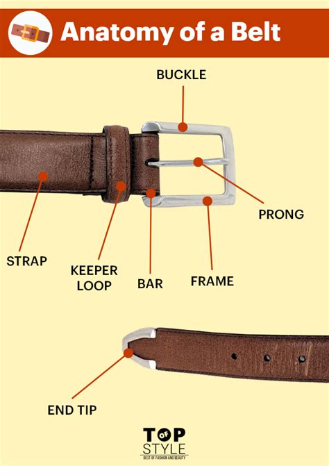 Seat Belt Buckle Parts Names - Velcromag