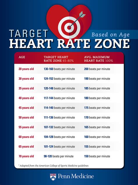 Why Does Heart Rate Increase During Exercise?