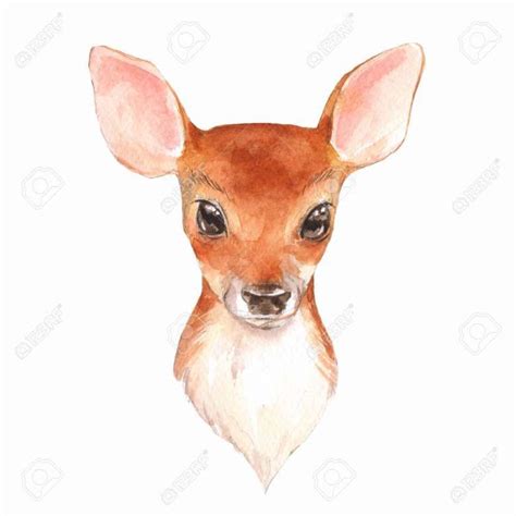 15+ Cute Baby Deer Drawing | Deer drawing, Baby deer art, Baby deer