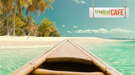 Tropical zoom backgrounds - fadne