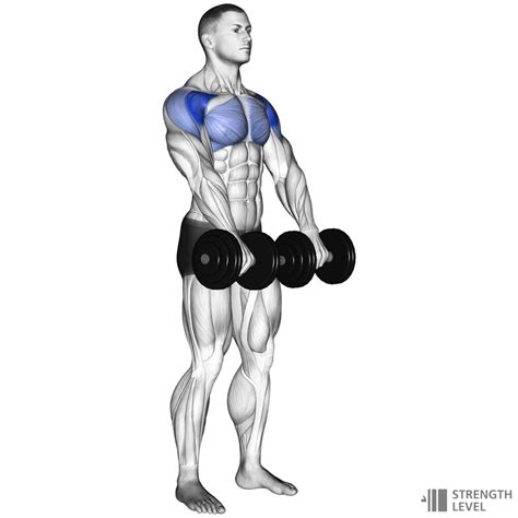 Dumbbell Front Raise How To - Strength Level