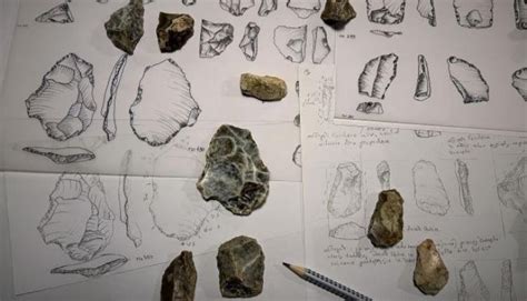 Flint tools dating back over 500,000 years were discovered in Poland ...