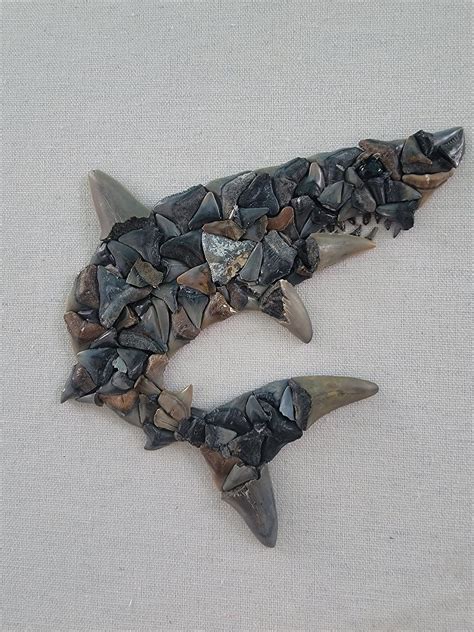 Shark Tooth Mako Shark - Etsy | Mako shark, Shark teeth, Shark