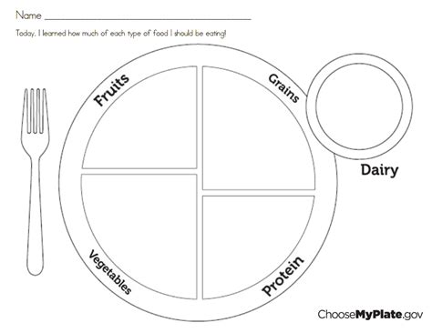 myplate activity.pdf | My food plate, Nutrition activities, Nutrition course