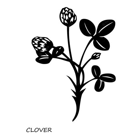 Premium Vector | Handpainted vector pansies and viola flower fields stock illustration