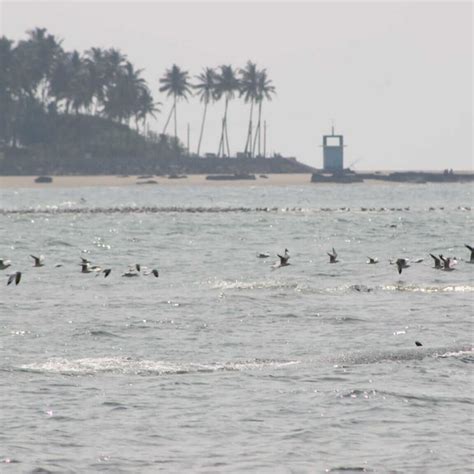 5 Must Visit Beaches In Maharashtra - AB On The Move