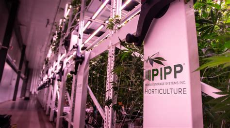 Pipp Horticulture Acquires GGS - Greenhouse Product News