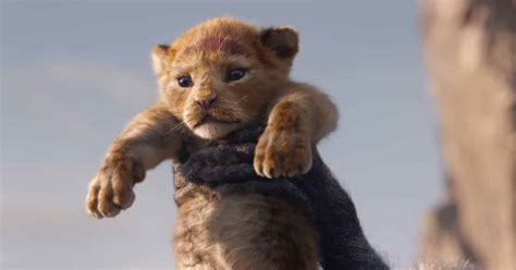 Le Roi Lion : découvrez (viiiite) le trailer du film (en salles le 19 juillet 2019)