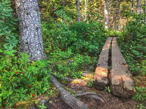 Maine has some of the best short hiking trails : Maine