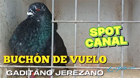 Buchón Gaditano Jerezano Spot Canal - YouTube