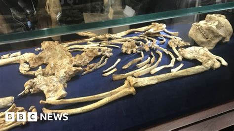 Little Foot skeleton unveiled in South Africa - BBC News