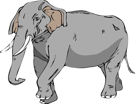 Elephant | Free Stock Photo | Illustration of an elephant | # 11454