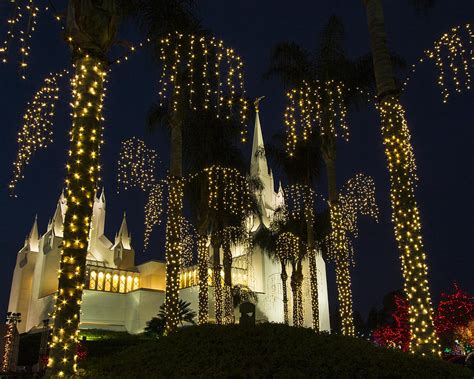 San Diego Temple lights Photograph by Guy Shultz - Pixels