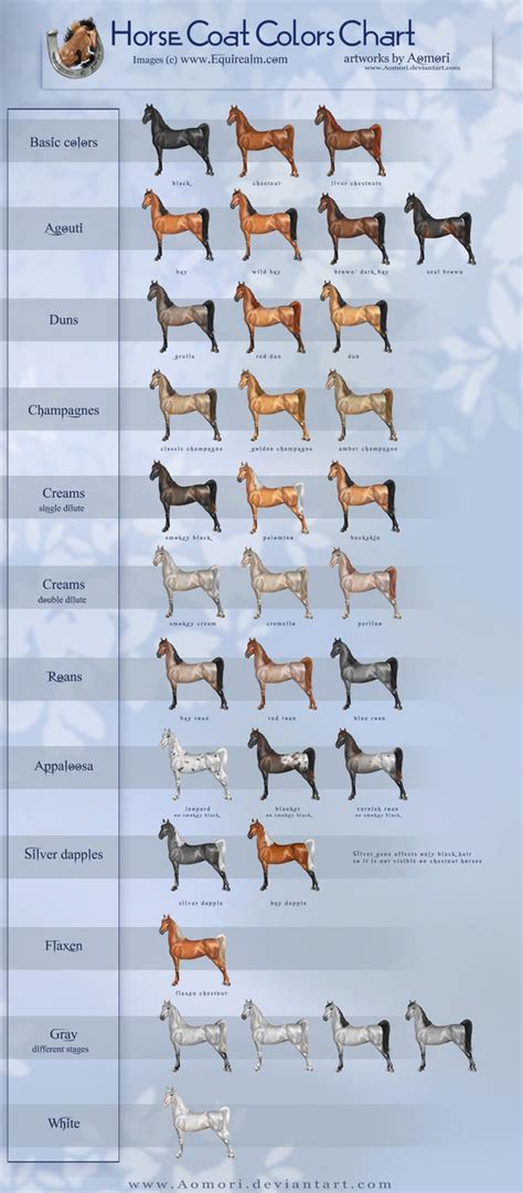 Horse coat colors chart by Aomori on DeviantArt