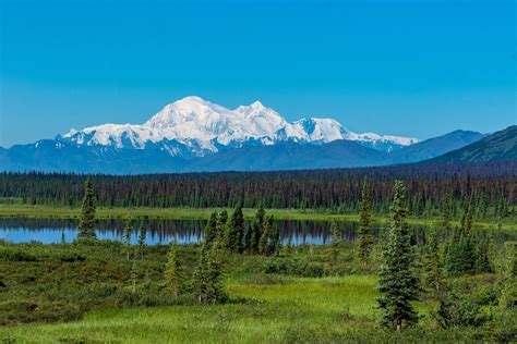 The 7 Best Denali National Park Activities and Tours — Northern Epics