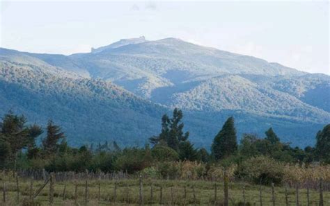 When & Where?: HIKING AT ELEPHANT HILL, ABERDARE RANGES