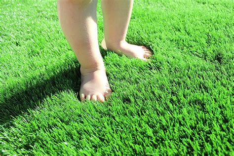 Premium Artificial Grass for Dogs Indoor Outdoor Fake Grass Drainage Holes Turf Rug Mat for ...