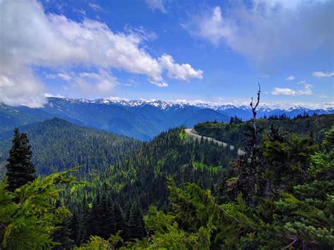 Hurricane Ridge, Olympic National Park, Washington [OC][4032 x 3024 ...