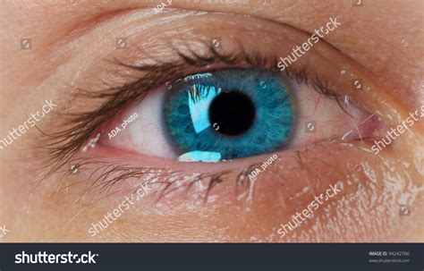 Crying Blue Eye Stock Photo 94242766 : Shutterstock