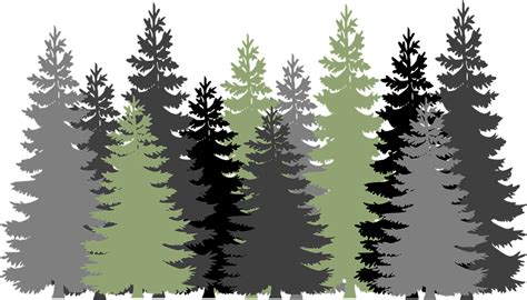 Forest Trees Evergreen · Free vector graphic on Pixabay