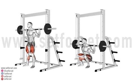 Smith Machine Squats: Right Type Advantages & Debate - Better Weight Loss