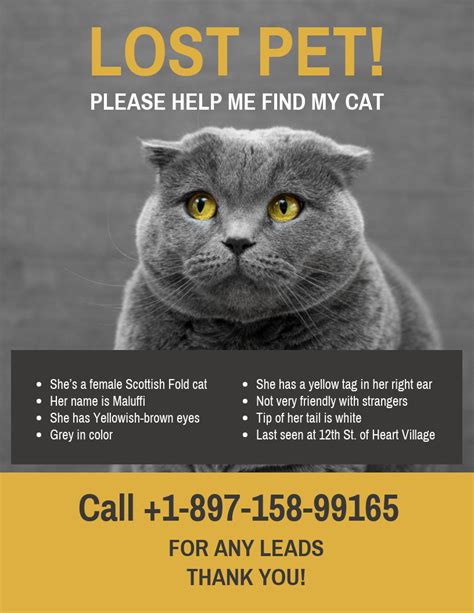 Yellow Black Missing Cat Poster Template - Make an effective missing ...