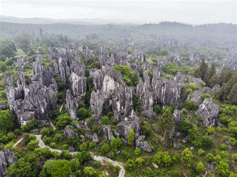 Scientists Finally Discover How 'Stone Forests' Develop Their ...