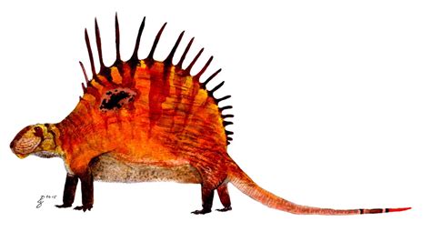 Paleo Profile - Dimetrodon - YouTube