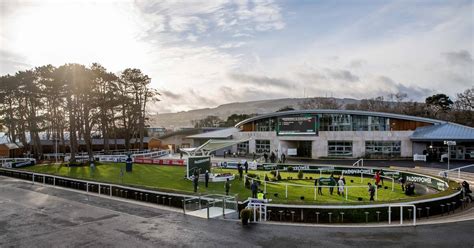 Horse Racing Ireland confirm 5,000 crowds for Christmas festival ...