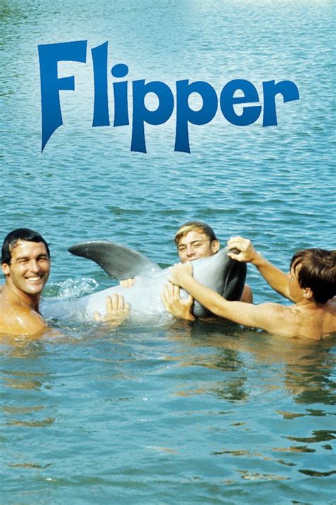 flipper tv show episodes - Otilia Duff