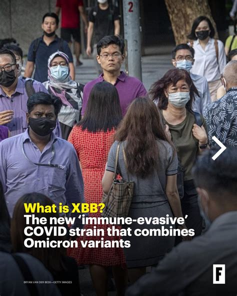 What is XBB? The new ‘immune-evasive’ COVID strain that combines Omicron variants is driving ...