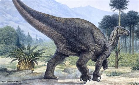 Iguanodon - Alchetron, The Free Social Encyclopedia