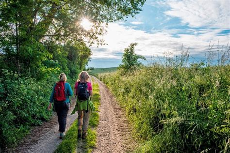 78 Esel Wandern Brandenburg | ingaskueche