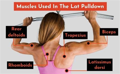 Lat Pulldown vs Pull-Up: Differences, Pros, Cons | PowerliftingTechnique.com