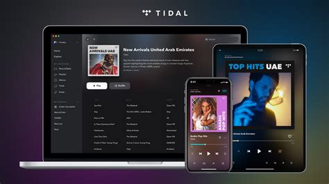 5 Fixes when Tidal My Collection Not Showing Up and More Issues Solved ...