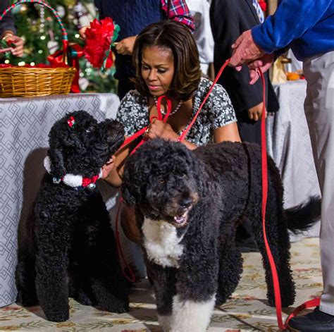 Barack Obama Family Dog