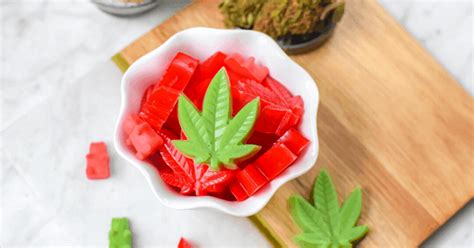 Cannabis Gummies Made with Oil or Butter » Emily Kyle, MS, RDN