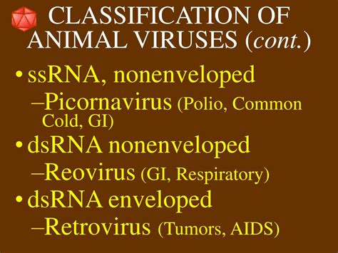 PPT - Viruses PowerPoint Presentation, free download - ID:1364399