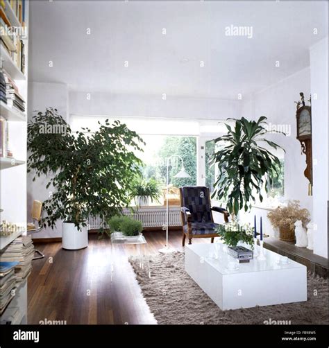 White Living Room Plants - Living Room : Home Decorating Ideas #KvqVbPYoq2