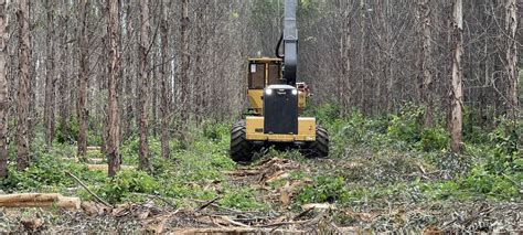 Fire Prevention at Forest Operations Procedures updated with bushfire season commences October 1.